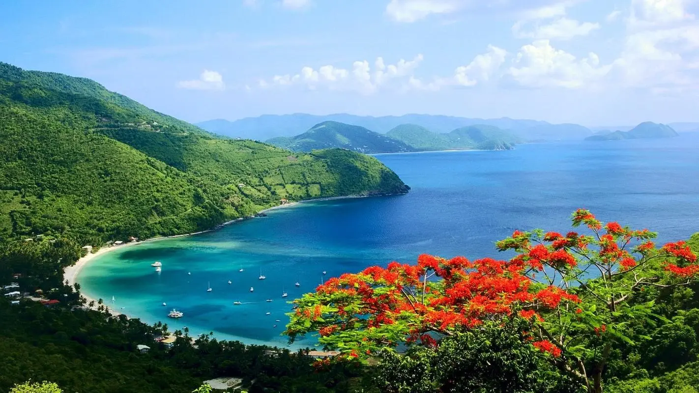 高精度高精度高效