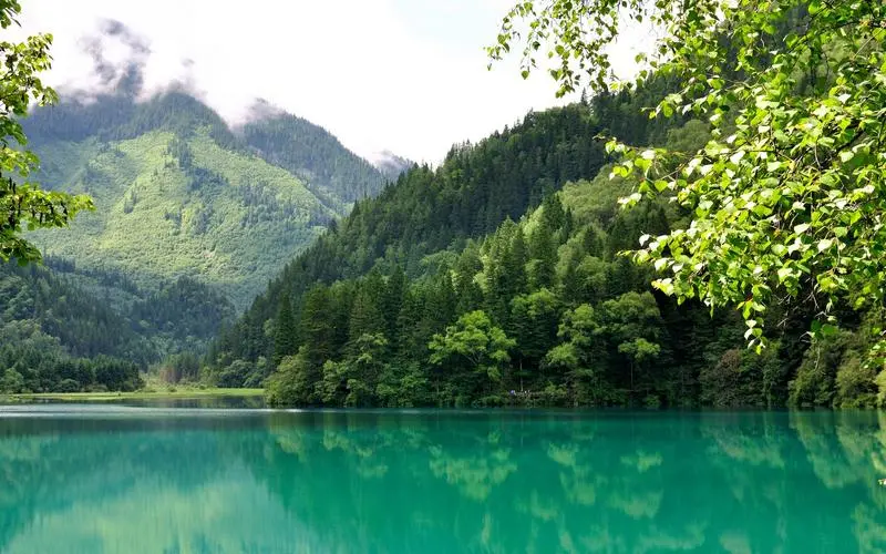 高效高效